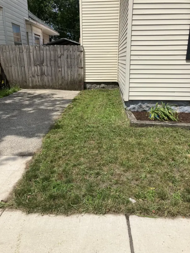 Lawn Care Project 8