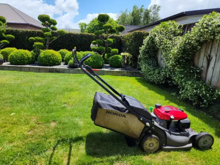 Lawn Care
